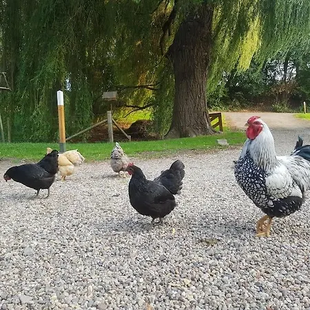 Holiday home Aan De Rand Arnhem