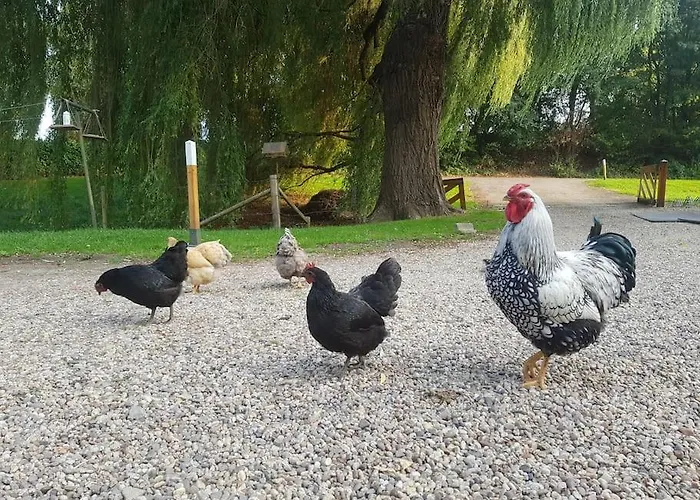 Holiday home Aan De Rand Arnhem